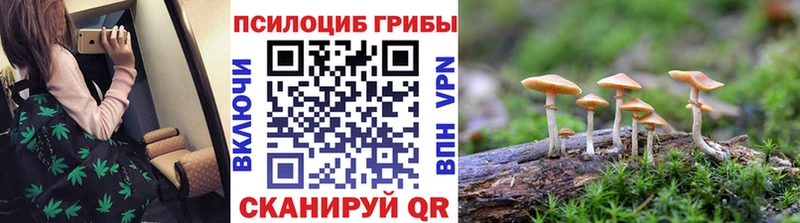 Галлюциногенные грибы прущие грибы  Чудово 